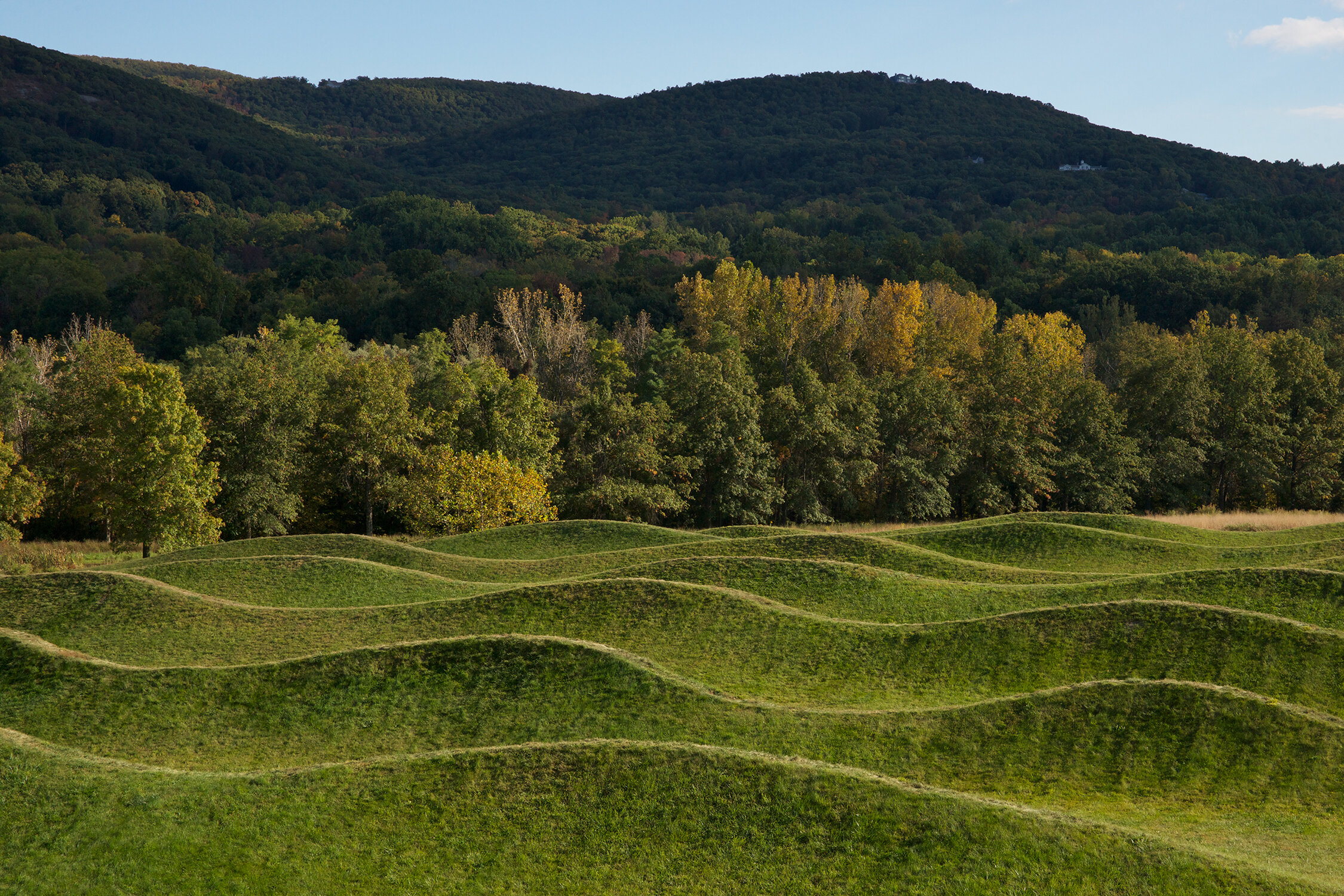 Grassy hills in the shape of waves, trees in the background.