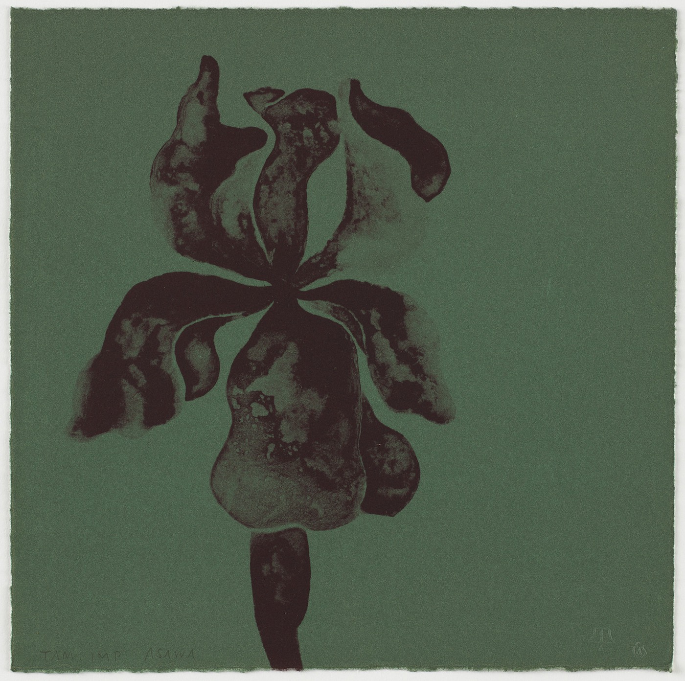 Print of a flower, dark brown ink on green paper