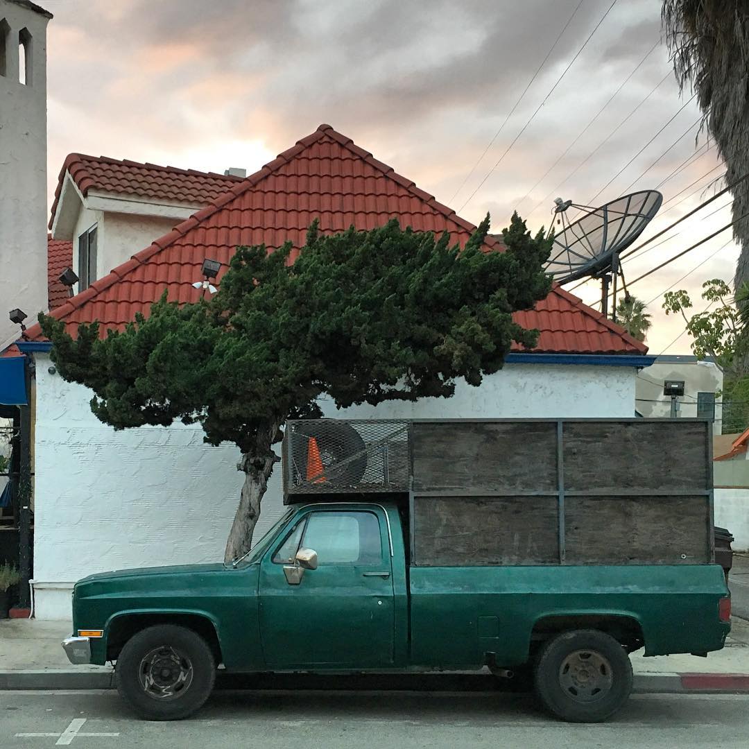Photograph of an old green truck 
            parked on the street. Behind the truck a juniper tree grows out over the sidwalk. Behind the tree, a building with terracotta
            ceramic shingles and white walls. A satellite dish on the roof. A subtle sunset visible in the sky.