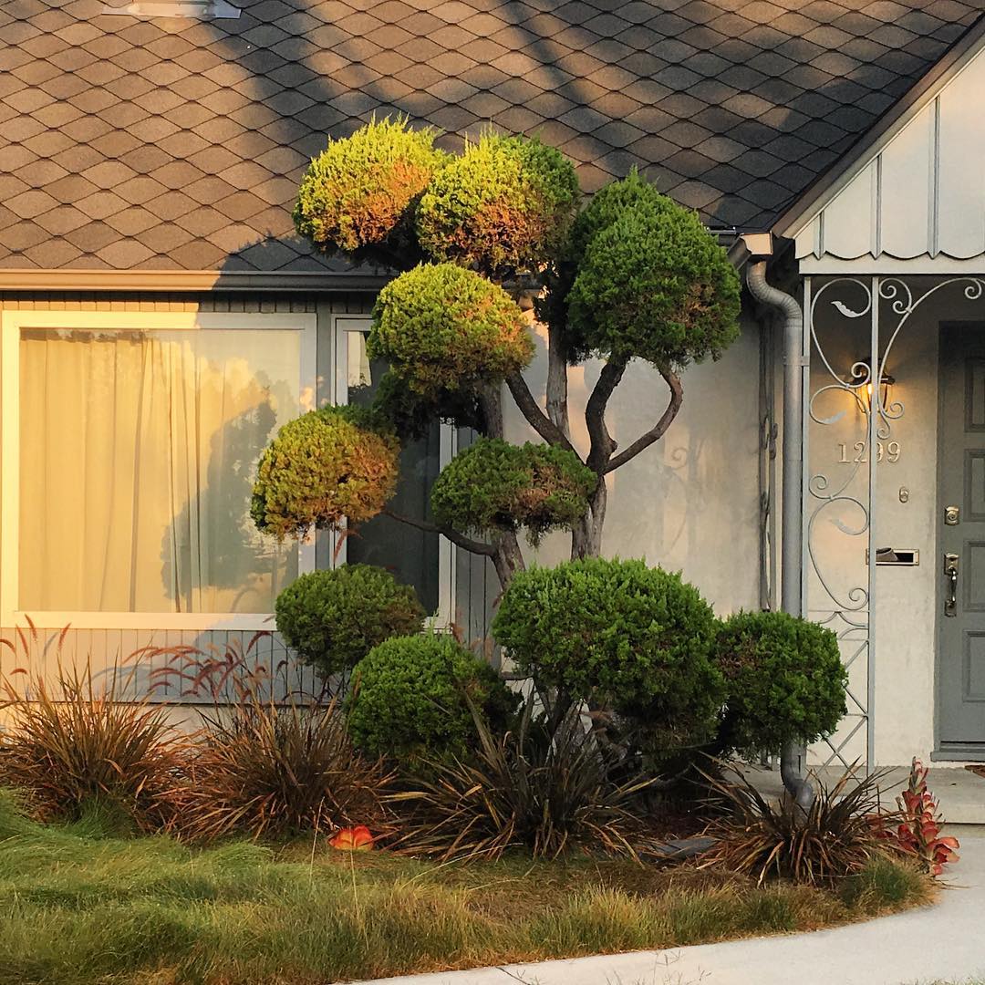 Meadowbrook Ave