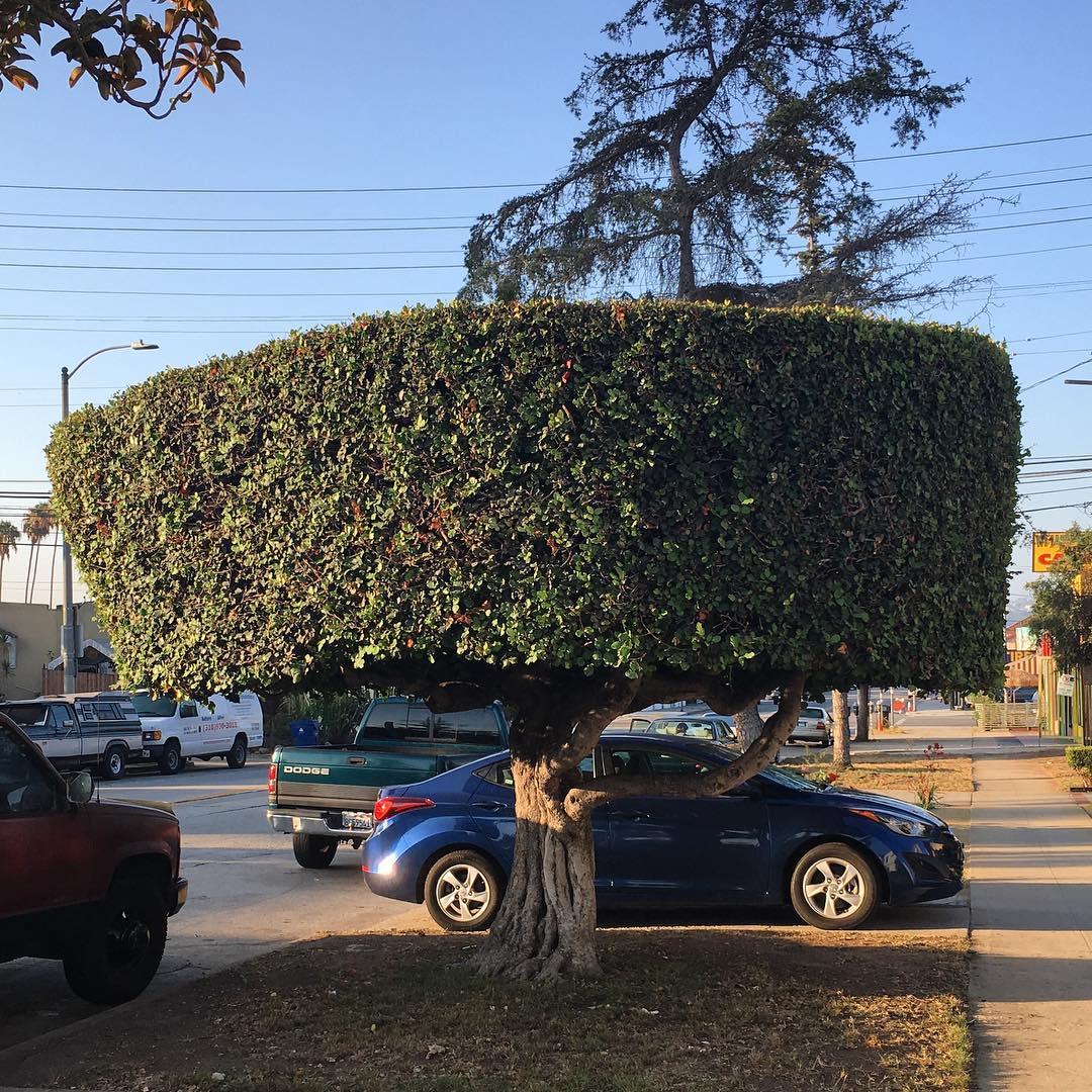 Redondo Blvd