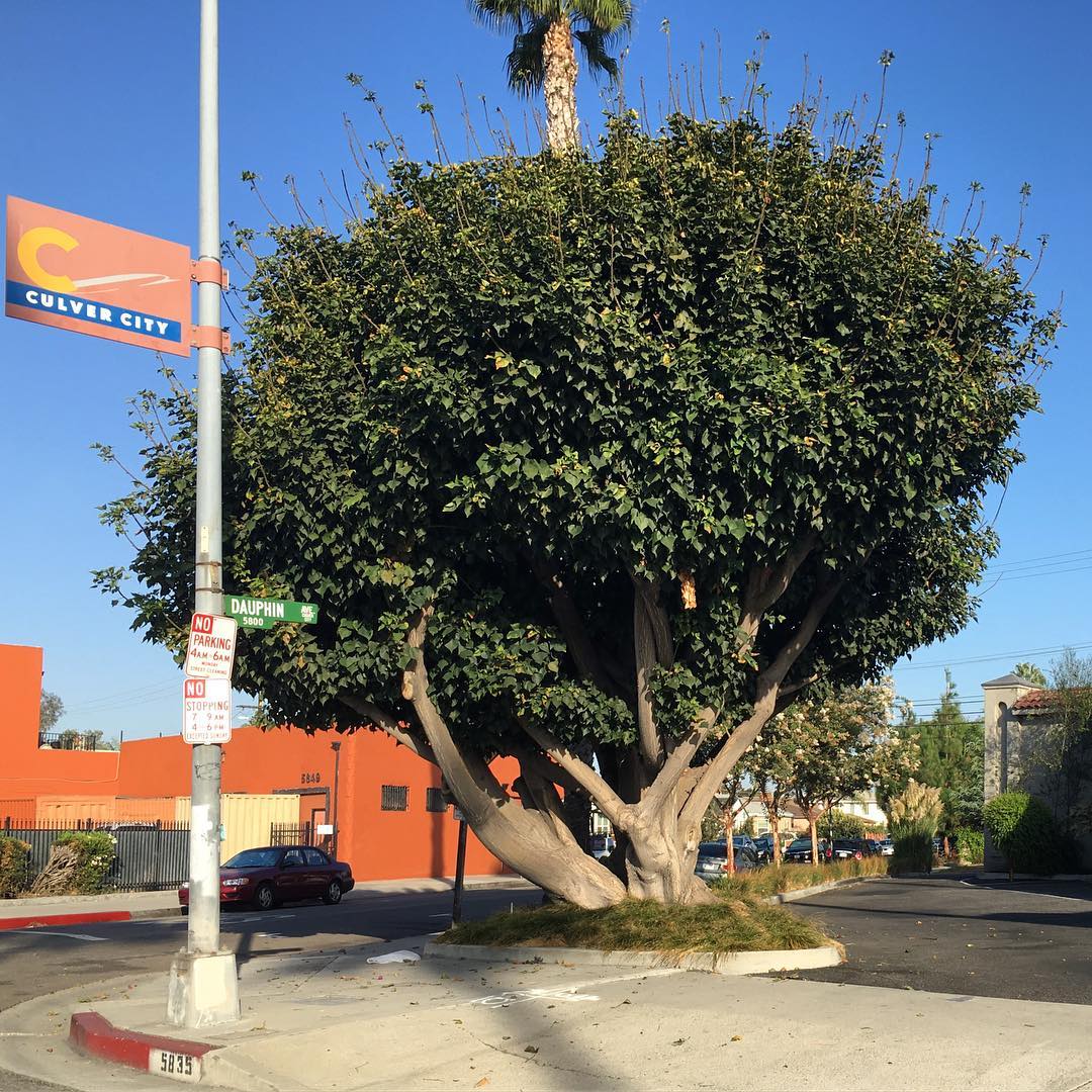 Washington Blvd