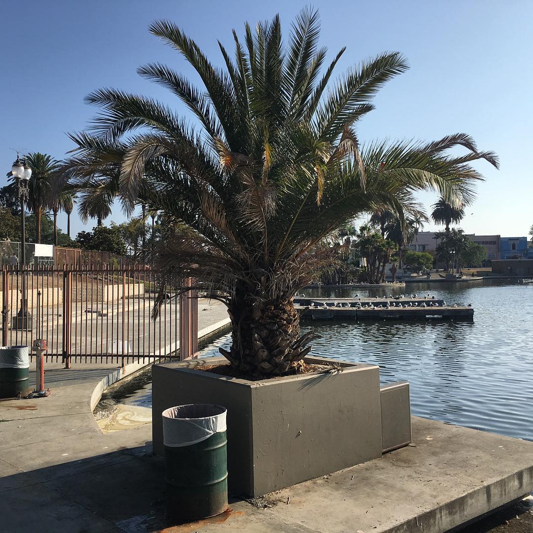 MacArthur Park
