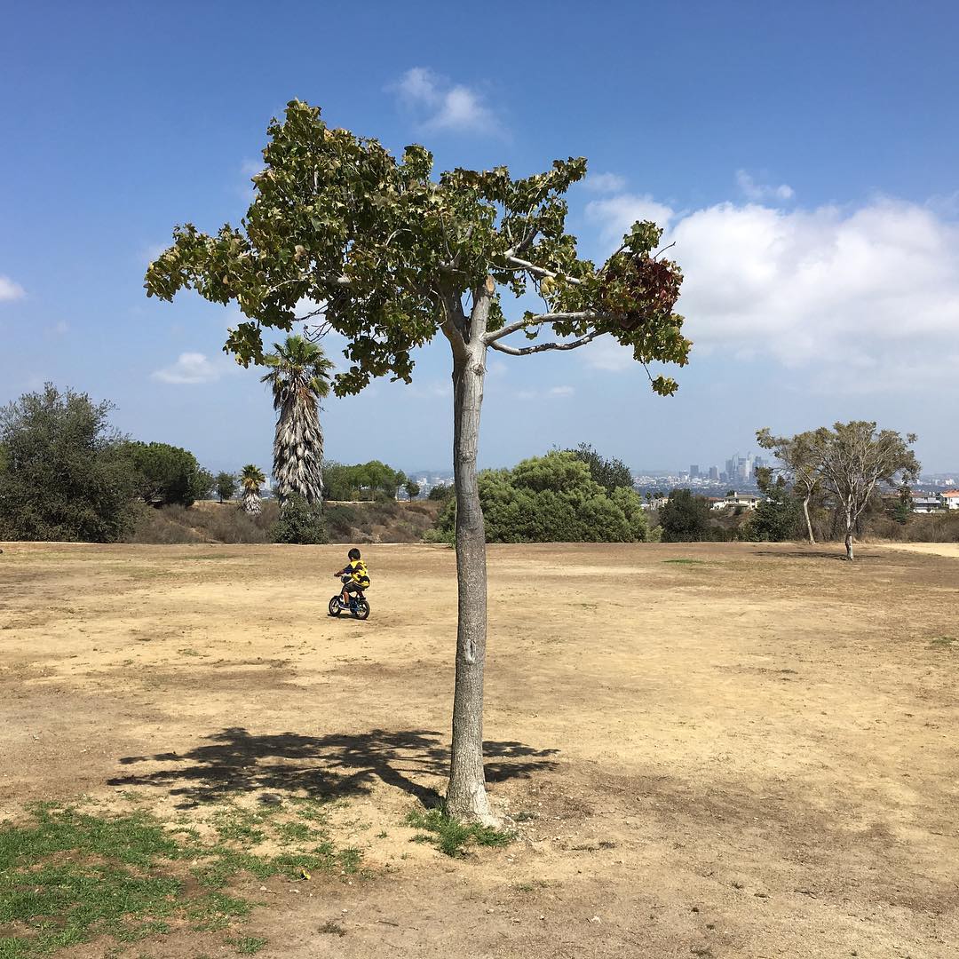 Kenneth Hahn SNA