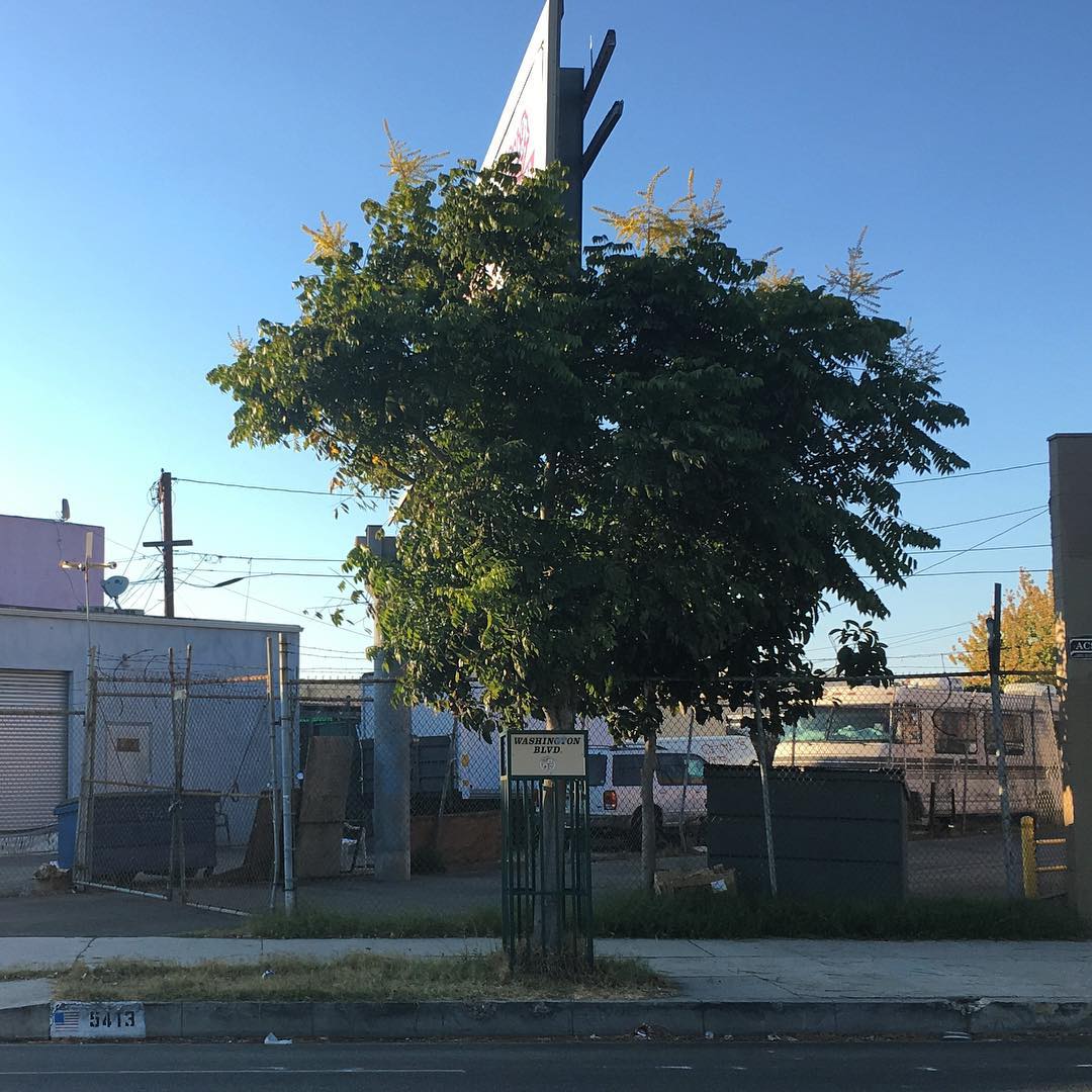 Washington Blvd