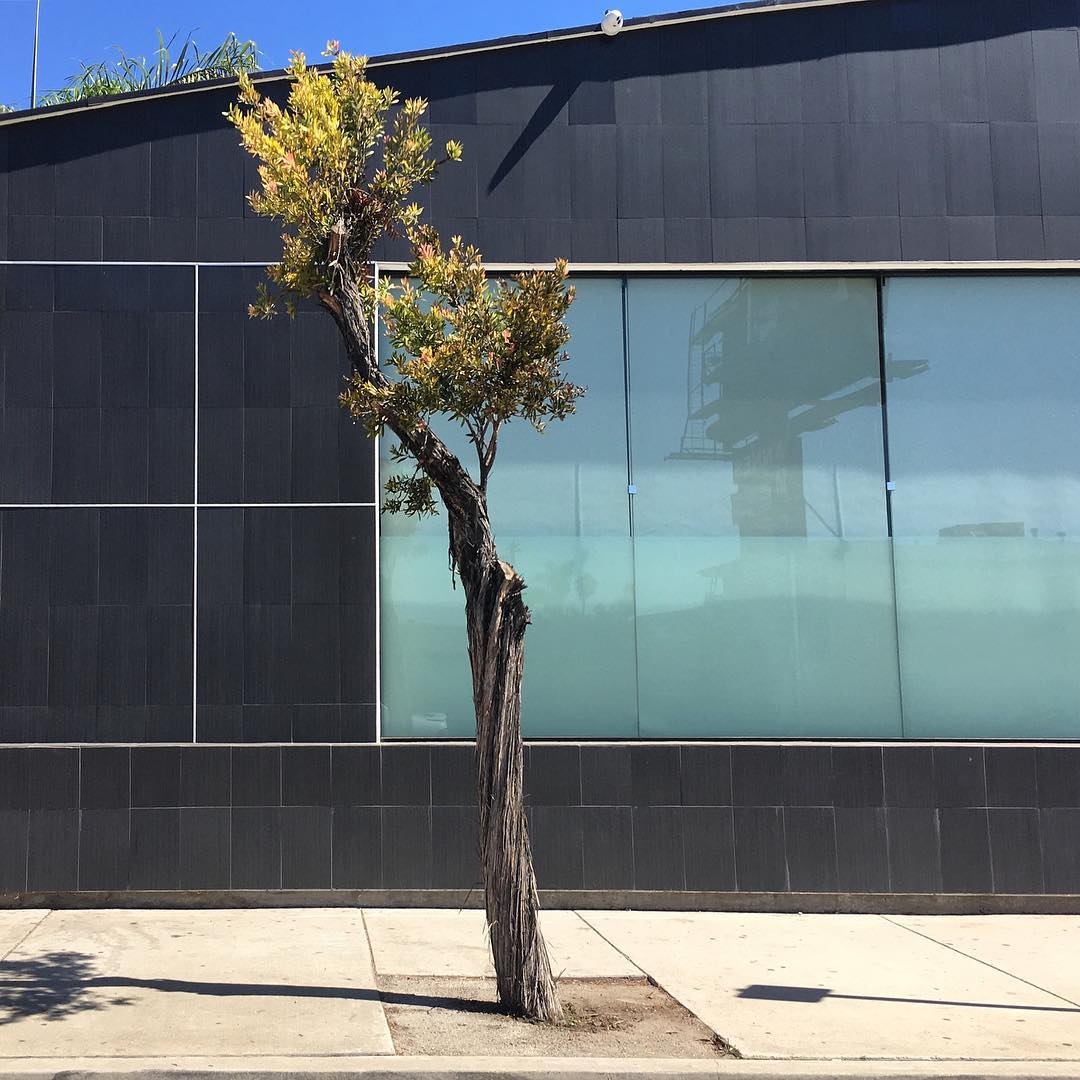 S La Cienega Blvd