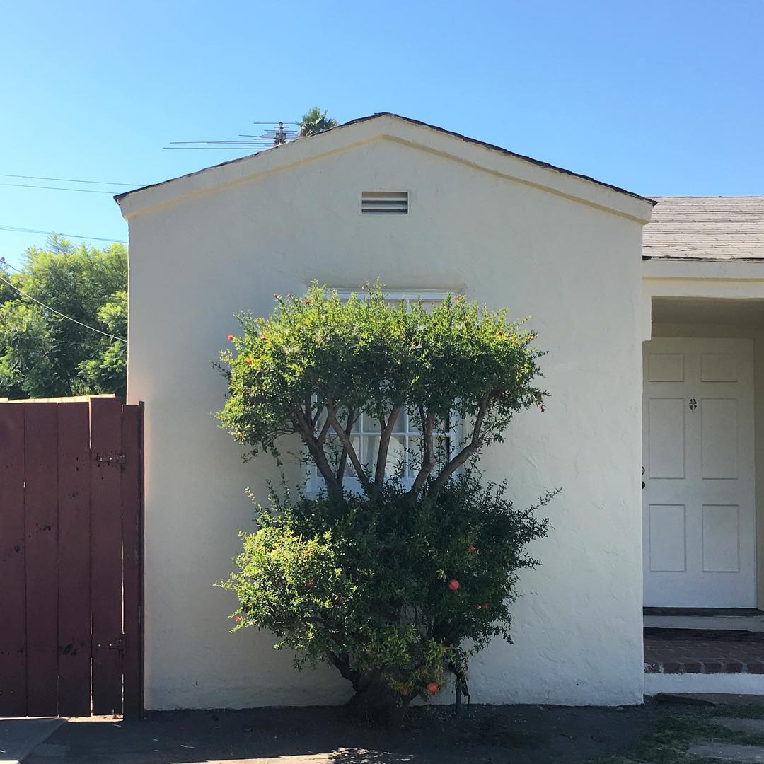 Cattaragus Ave