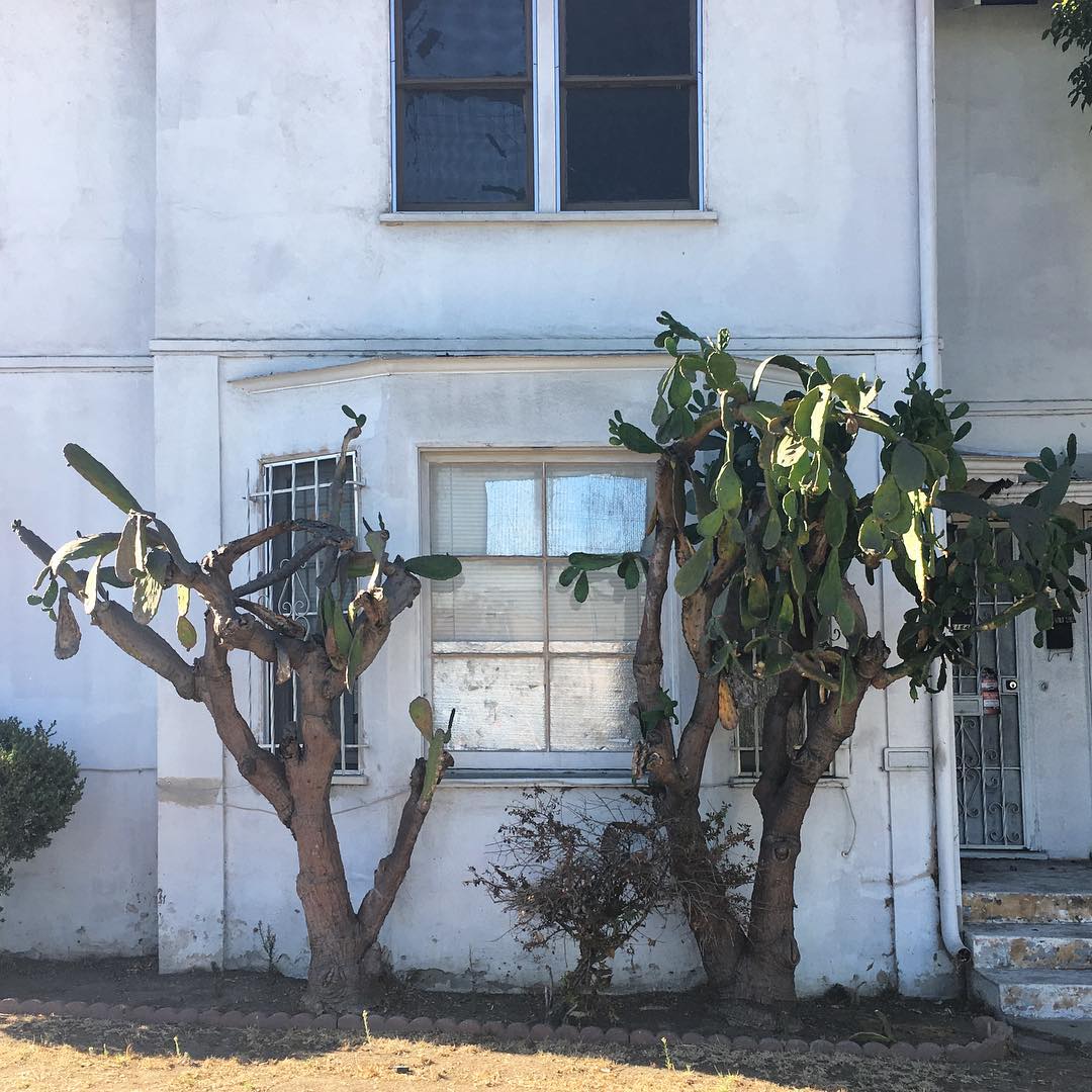 San Vicente Blvd
