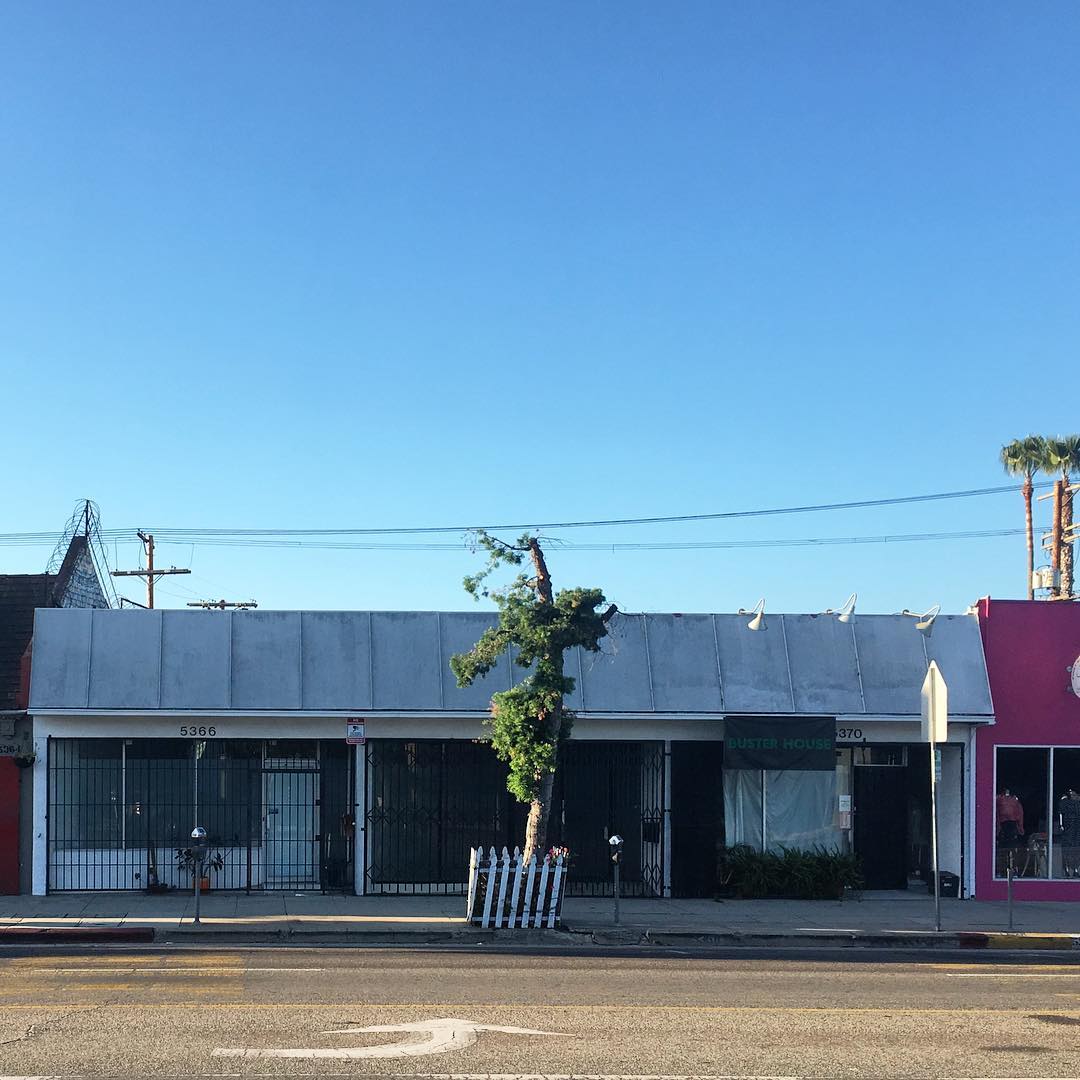 Pico Blvd
