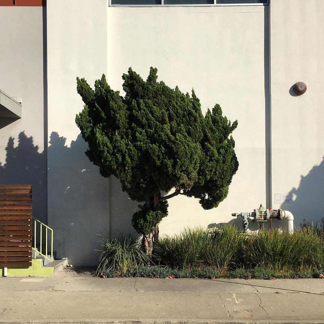 S Formosa Ave