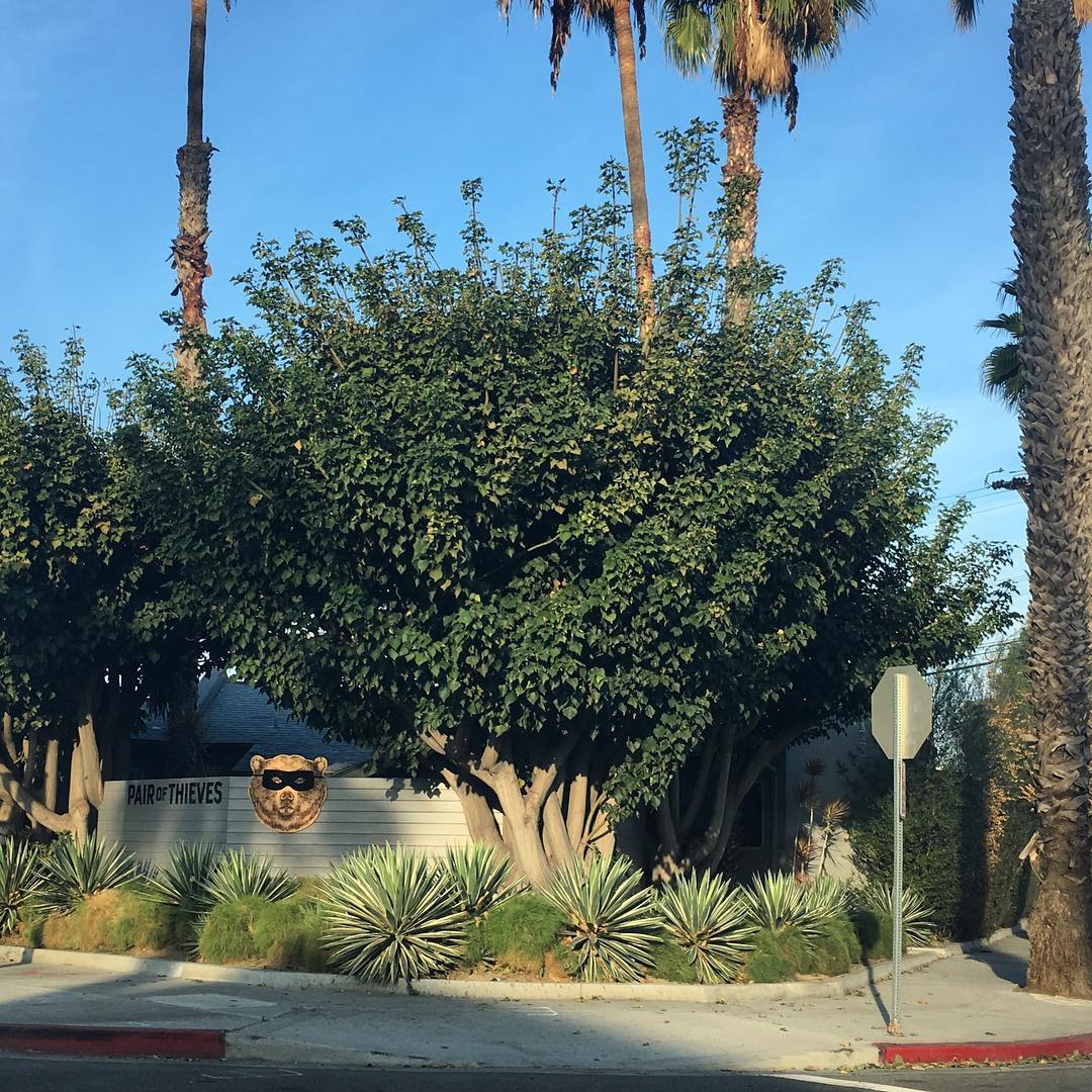 Washington Blvd