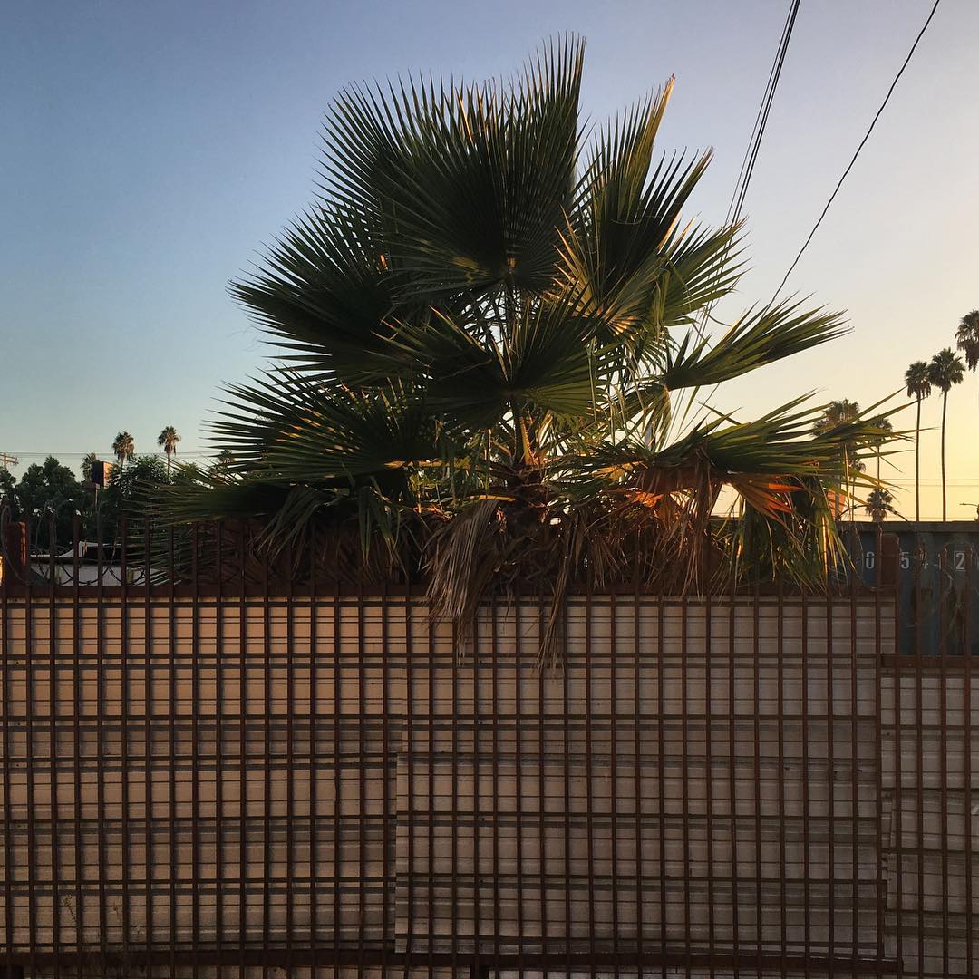 Cloverdale Ave