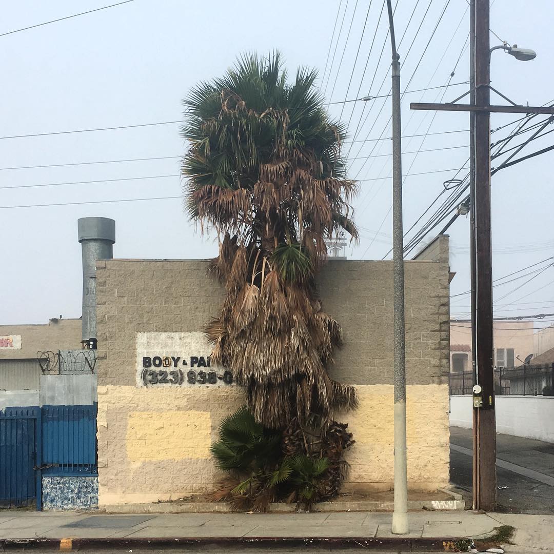 Cochran Ave