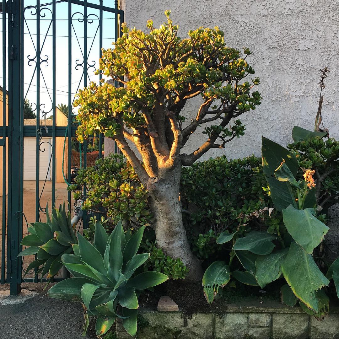 San Vicente Blvd