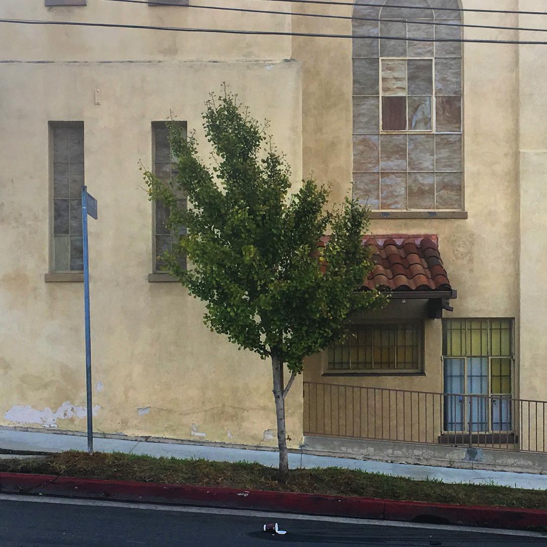 Cochran Ave