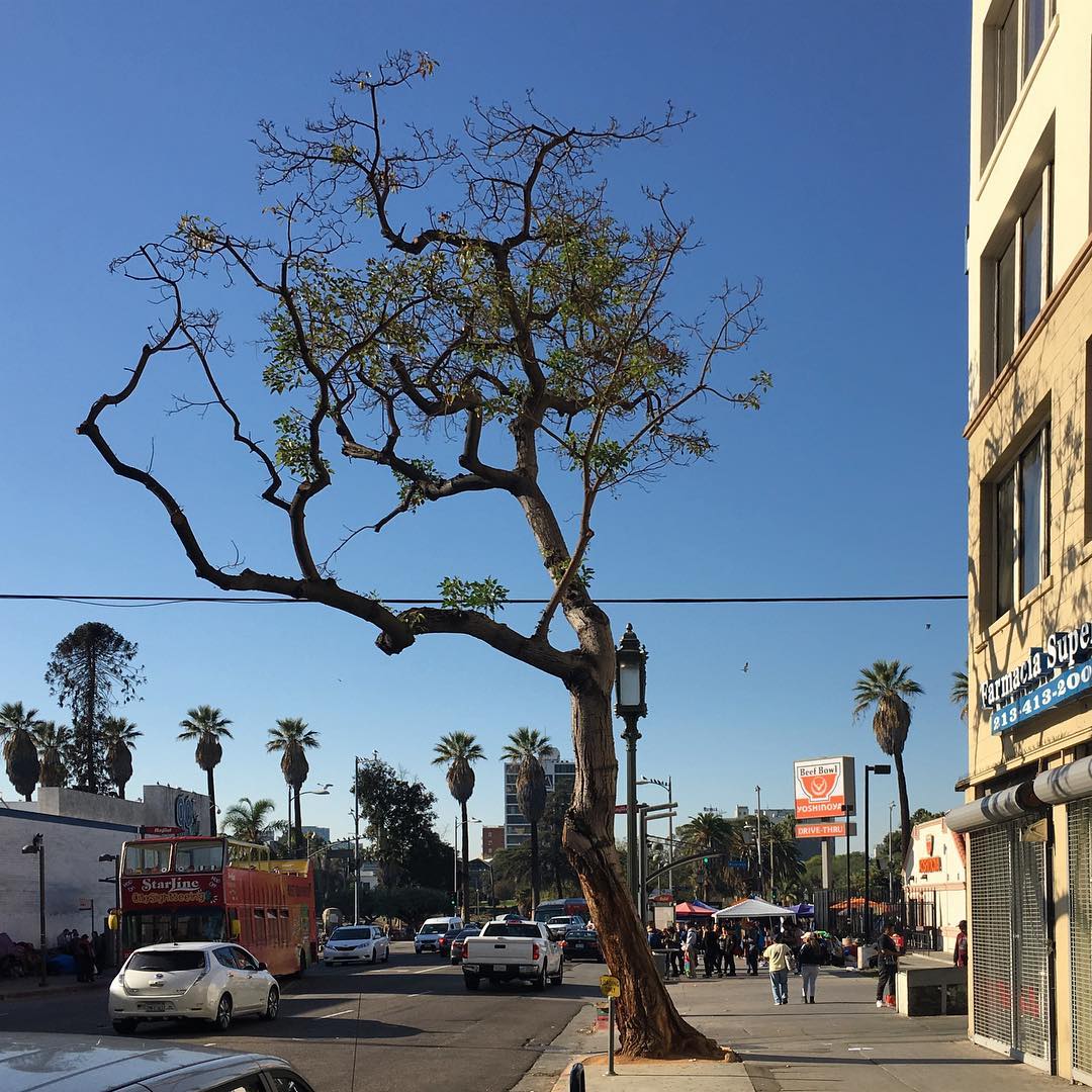 Wilshire Blvd