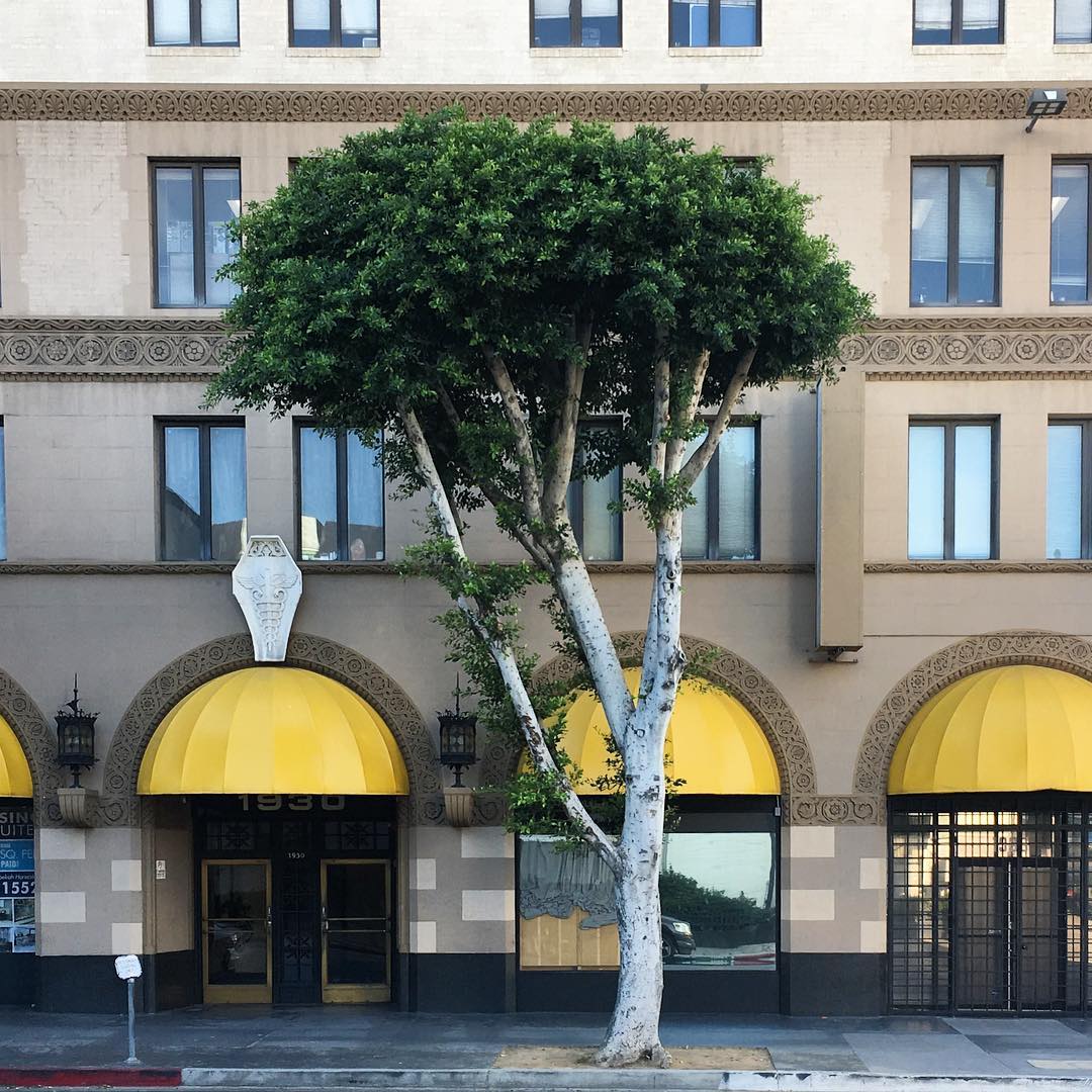 Wilshire Blvd