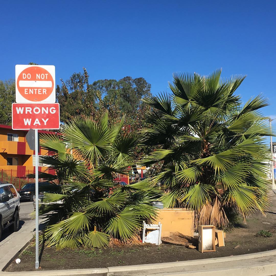 La Brea Ave