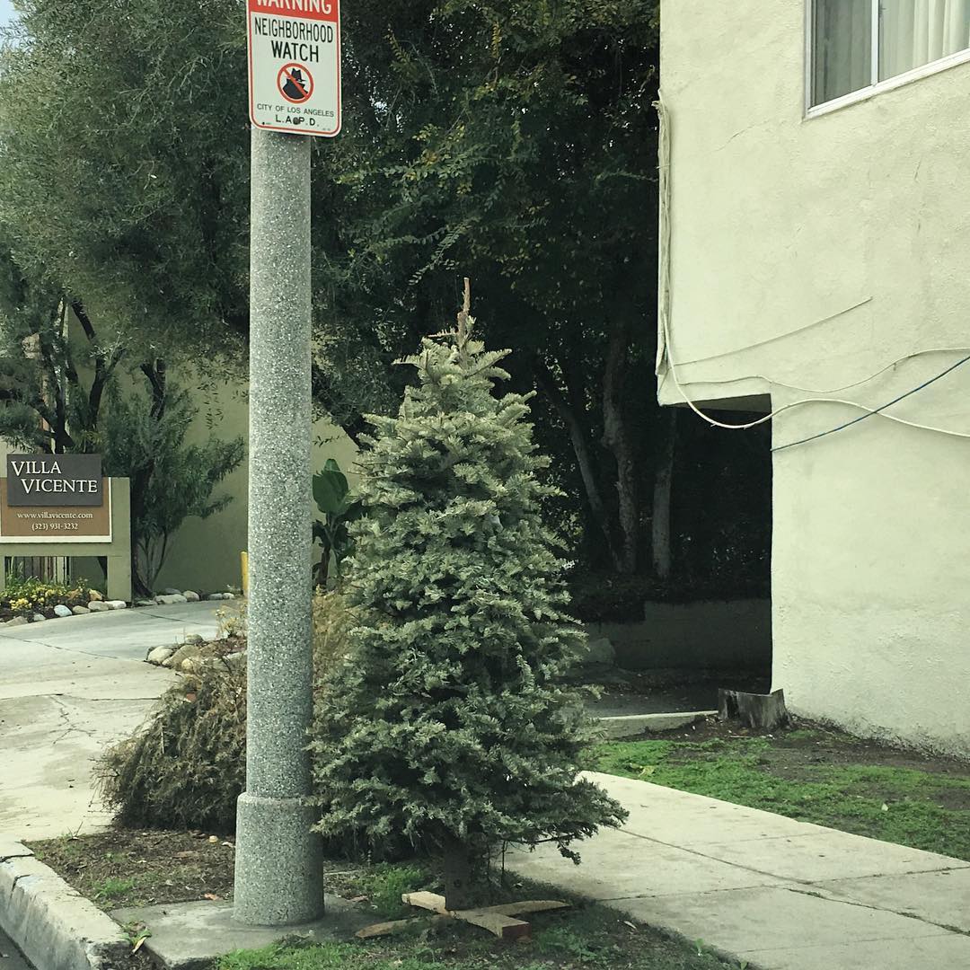 Cochran Ave