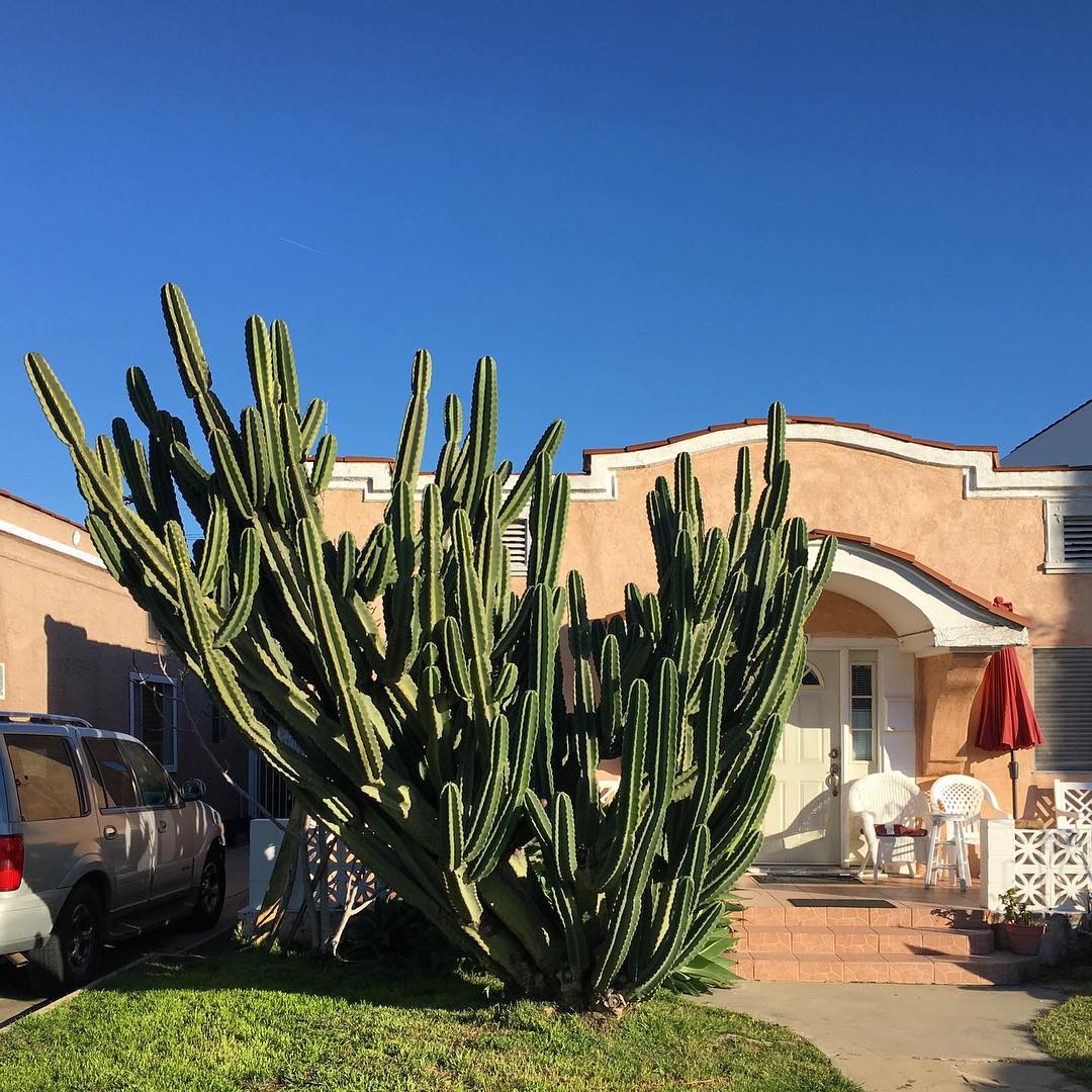 Dockweiler St