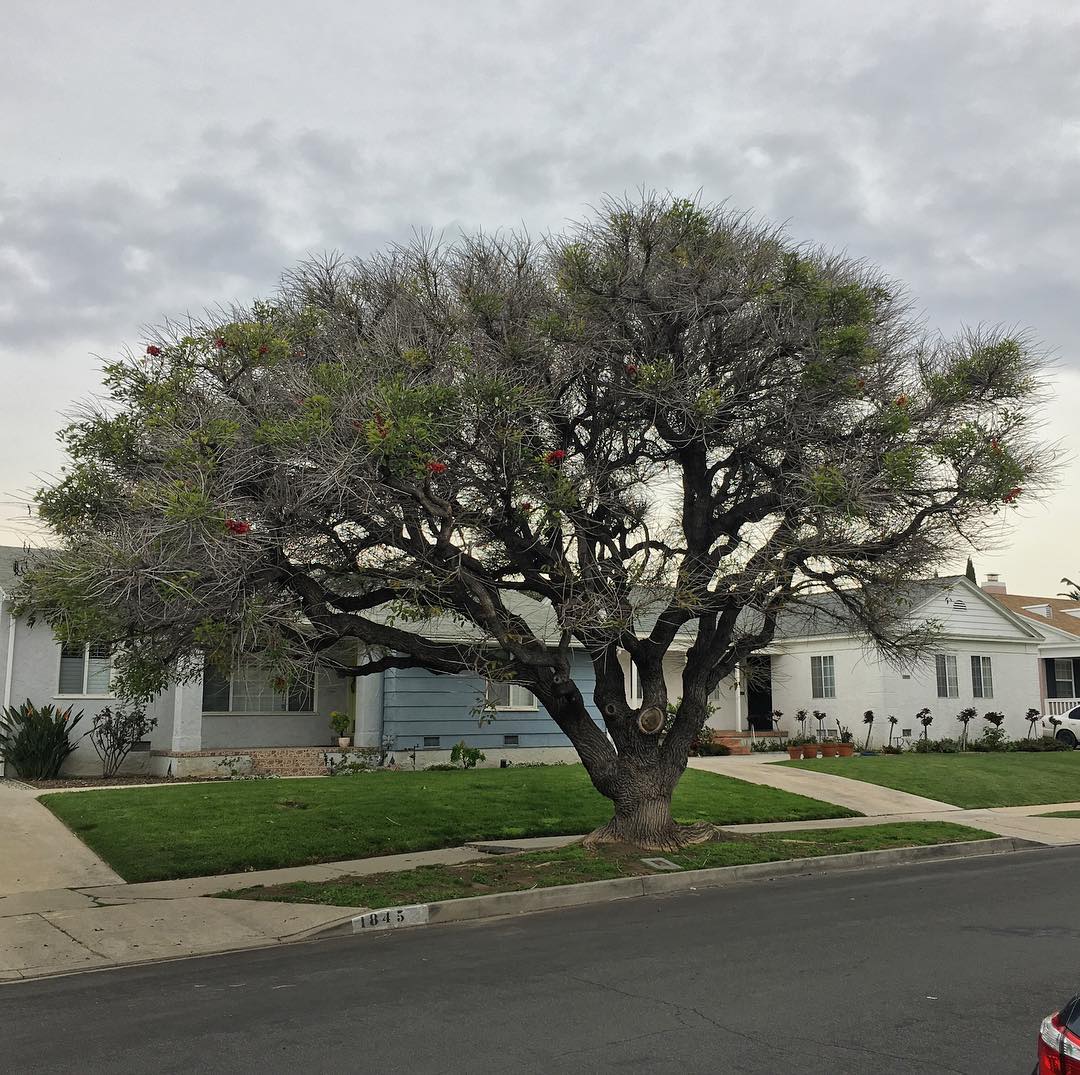 S Ogden Dr