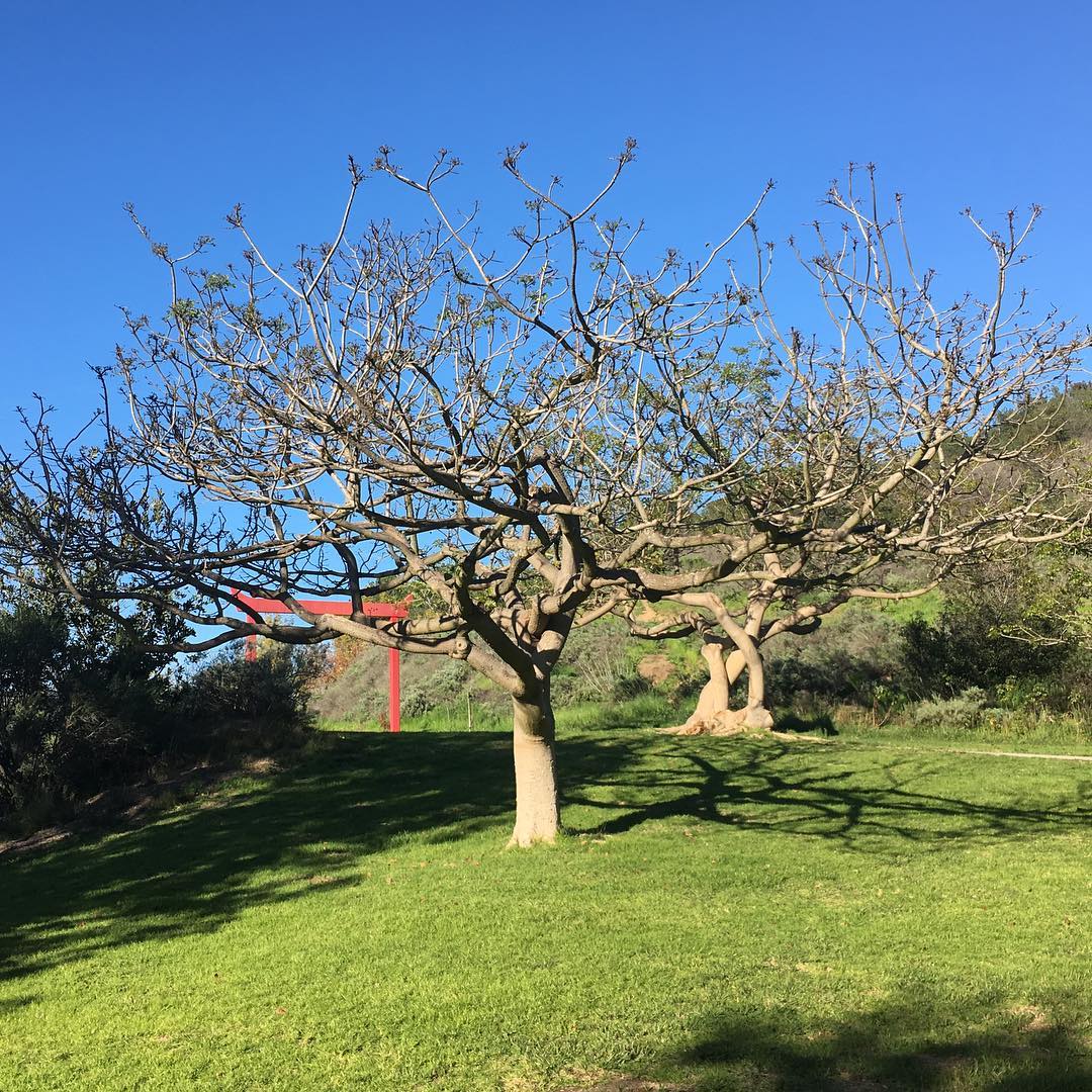Kenneth Hahn State Recreation Area