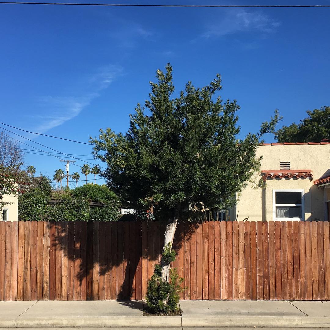 Jacob St