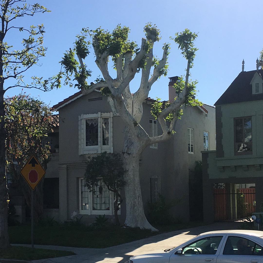 S La Jolla Ave