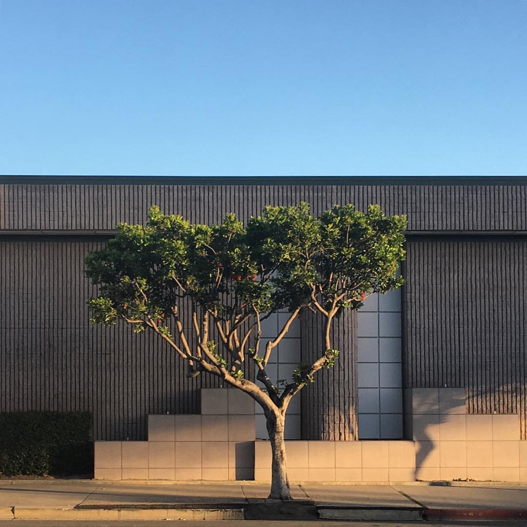 Beverly Blvd